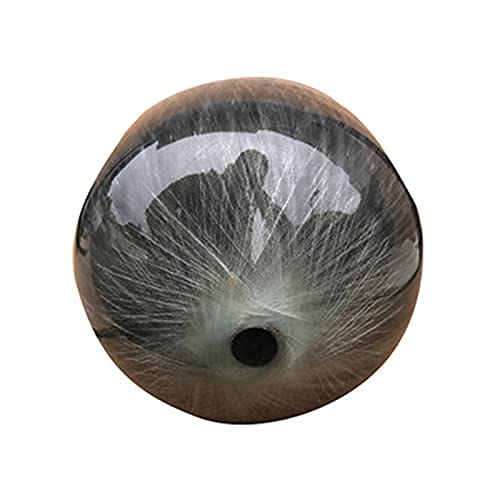 TUXING 6.8L Diving Tank 4500Psi Carbon Fiber Cylinder Review TUXING 6.8L Diving Tank 4500Psi Carbon Fiber Cylinder Review