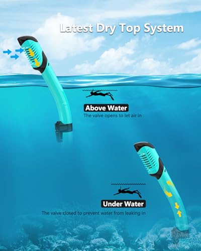Delve Into the Bairuifu Snorkel Mask Set Review: Is It Worth Buying? Delve Into the Bairuifu Snorkel Mask Set Review: Is It Worth Buying?