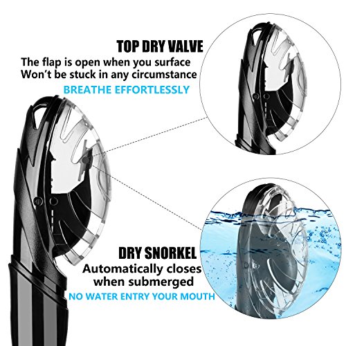 How does the Aegend best dive snorkel perform? Read this detailed review! How does the Aegend best dive snorkel perform? Read this detailed review!