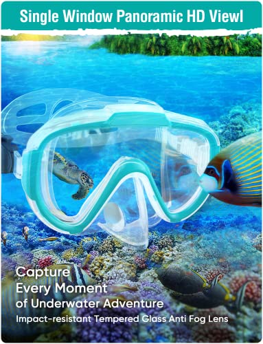 Is Seovediary the best snorkeling gear choice? Read this in-depth review now! Is Seovediary the best snorkeling gear choice? Read this in-depth review now!
