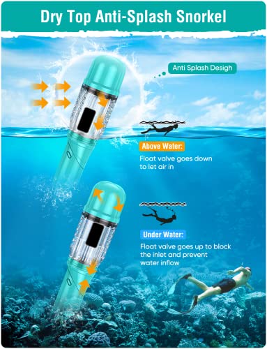 Is Seovediary the best snorkeling gear choice? Read this in-depth review now! Is Seovediary the best snorkeling gear choice? Read this in-depth review now!