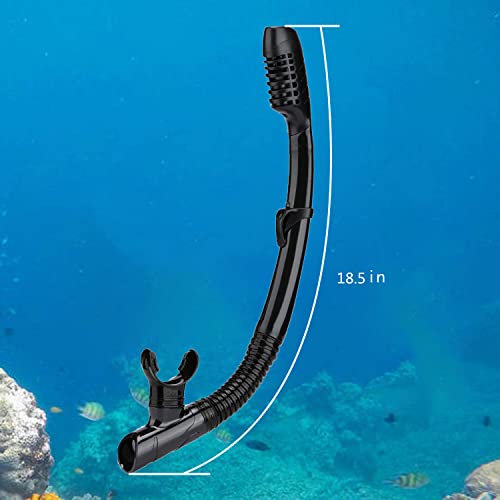 Is the AQUA A DIVE SPORTS SN115-1 the best snorkel for diving? Full review
