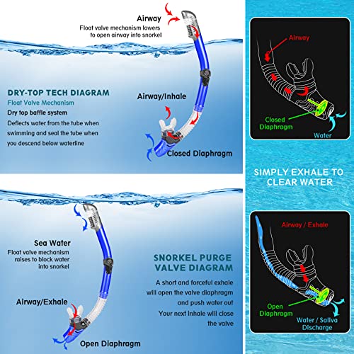 Is the ZEEPORTE best snorkeling gear Snorkel Set-DBL the ultimate travel companion? Reviews inside! Is the ZEEPORTE best snorkeling gear Snorkel Set-DBL the ultimate travel companion? Reviews inside!