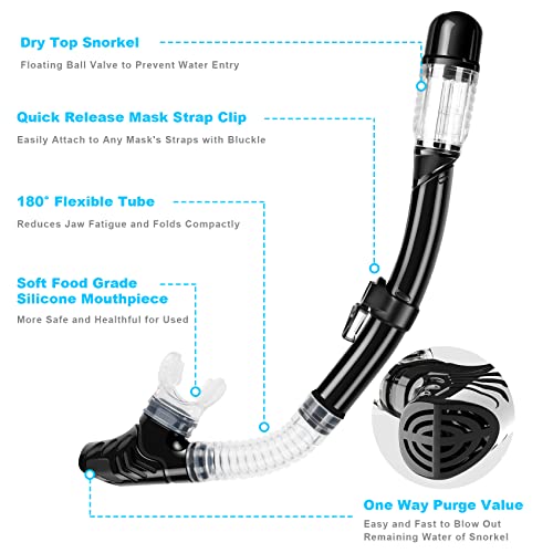 Is Zipoute Snorkel the best snorkel set for adults? A comprehensive review