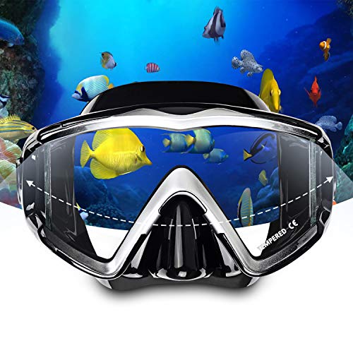 Looking for the best diving mask? Read this EXP VISION EX-4300 review now! Looking for the best diving mask? Read this EXP VISION EX-4300 review now!