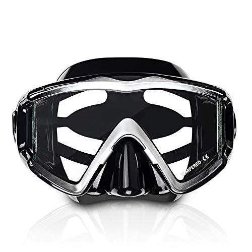 Looking for the best diving mask? Read this EXP VISION EX-4300 review now! Looking for the best diving mask? Read this EXP VISION EX-4300 review now!