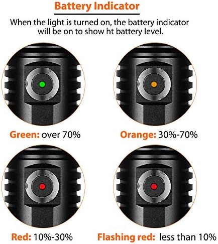 Reveal the Best Dive Light Review: ORCATORCH D530 Performance Underwater Reveal the Best Dive Light Review: ORCATORCH D530 Performance Underwater