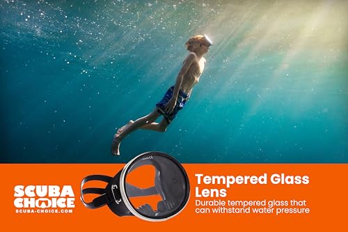 Should you choose the Scuba Choice Spearfishing Free Dive Mask? A detailed review!