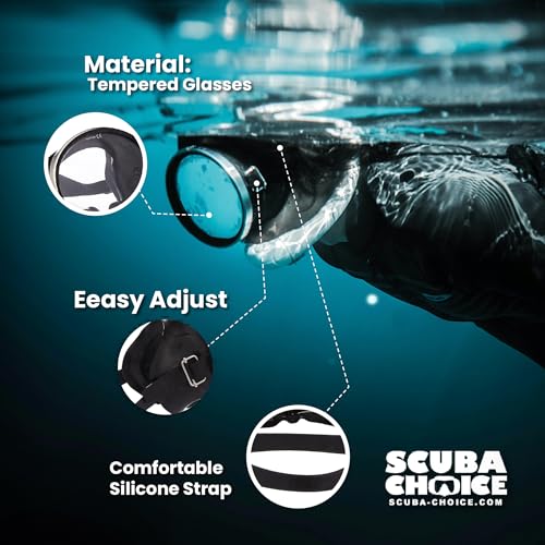 Should you choose the Scuba Choice Spearfishing Free Dive Mask? A detailed review!