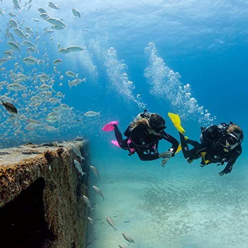 Should You Choose the SCUBAPRO G2 Dive Computer? An In-Depth Review