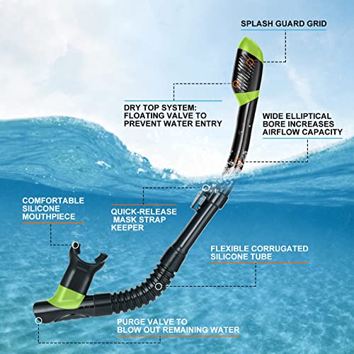 Which is the best snorkel set for beginners? Odoland Snorkel Set review covers everything!