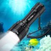 Wurkkos DL30 Dive Light Scuba Diving - Dive Flashlight Super Bright Max 3600 Lumen with 5000K 90CRI 100m Underwater Flashlight for Diving IPX-8 Waterproof Submersible Flashlight...