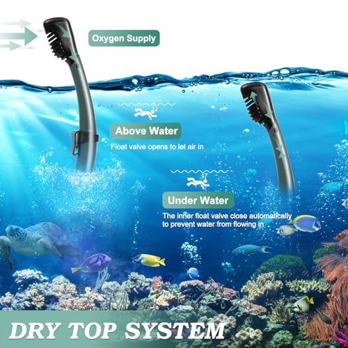 ACQCES AD-01 Snorkeling Gear Review Best Dry Top Mask for Adults Underwater Exploration ACQCES AD-01 Snorkeling Gear Review Best Dry Top Mask for Adults Underwater Exploration