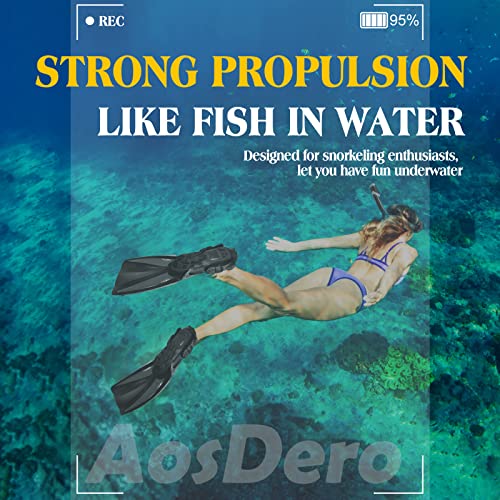 AosDero Snorkeling Gear Review Panoramic Mask and Adjustable Fins Experience AosDero Snorkeling Gear Review Panoramic Mask and Adjustable Fins Experience