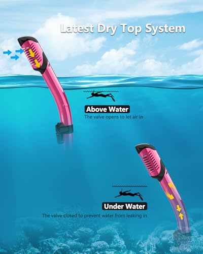 Bairuifu M8 Snorkeling Mask Review Unveils Enhanced Vision and Comfort Features