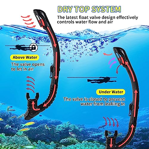 Body+ Snorkeling Gear Review Best Adult Silicone Diving Mask and Dry Snorkel Combo Body+ Snorkeling Gear Review Best Adult Silicone Diving Mask and Dry Snorkel Combo