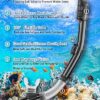 Comprehensive Review of PIYAZI Snorkeling Gear Best 4 in 1 Adult Snorkel Set Comprehensive Review of PIYAZI Snorkeling Gear Best 4 in 1 Adult Snorkel Set