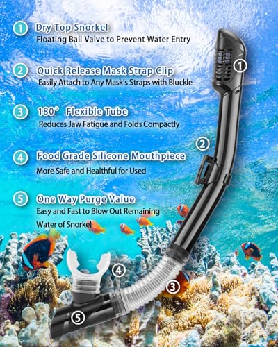 Comprehensive Review of PIYAZI Snorkeling Gear Best 4 in 1 Adult Snorkel Set Comprehensive Review of PIYAZI Snorkeling Gear Best 4 in 1 Adult Snorkel Set