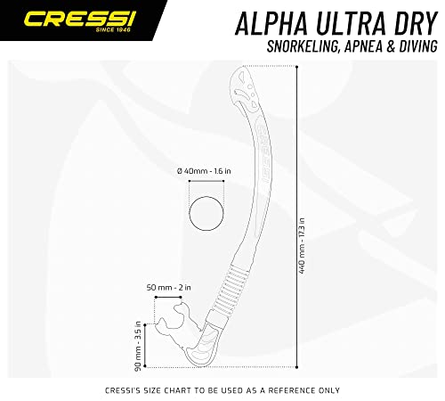 Cressi Alpha Ultra Dry Snorkel Review Best Foldable Snorkeling Gear for Scuba Diving Cressi Alpha Ultra Dry Snorkel Review Best Foldable Snorkeling Gear for Scuba Diving