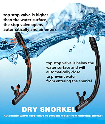 DIPUKI Snorkeling Set Review Safe Silicone Diving Mask and Dry Snorkel TC6115