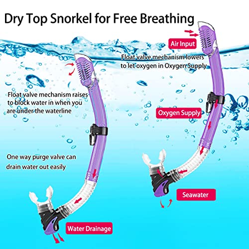 DiVLMT Snorkeling Gear Review Best Adult Snorkel Set with Fins for Travel and Diving DiVLMT Snorkeling Gear Review Best Adult Snorkel Set with Fins for Travel and Diving