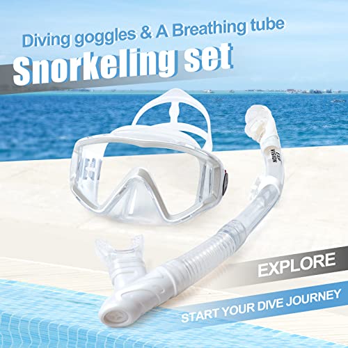 EXP VISION Panoramic Snorkel Set Review Best Diving Mask with Anti-Fog Lenses