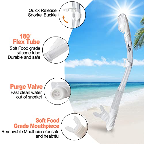EXP VISION Panoramic Snorkel Set Review Best Diving Mask with Anti-Fog Lenses