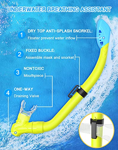 Gintenco Kids Snorkel Set Review Best Youth Diving Mask and Dry Top Snorkel Combo Gintenco Kids Snorkel Set Review Best Youth Diving Mask and Dry Top Snorkel Combo