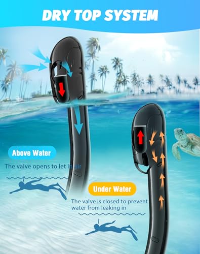 Greatever Snorkel Set Review Best Panoramic Wide View Snorkeling Mask for Adults Greatever Snorkel Set Review Best Panoramic Wide View Snorkeling Mask for Adults