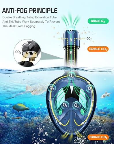 Greatever SXB Full Face Snorkel Mask Review Best Adult Snorkeling Gear with Camera Mount Greatever SXB Full Face Snorkel Mask Review Best Adult Snorkeling Gear with Camera Mount