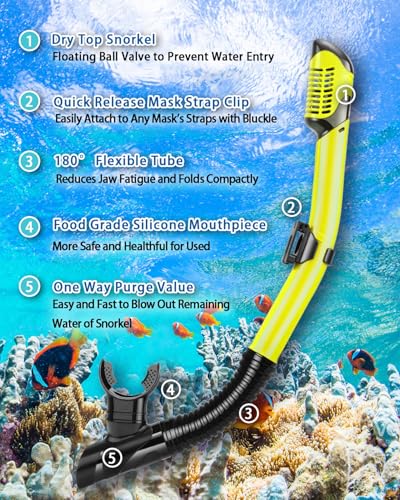 In-Depth Review of PIYAZI Kids Snorkeling Gear Featuring Anti-Leak Silicone Mask