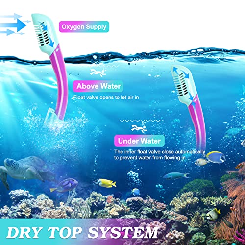 Kids Snorkeling Package Review ACQCES SNORKEL-001 Durable Mask Fins and Dry Top Snorkel Kids Snorkeling Package Review ACQCES SNORKEL-001 Durable Mask Fins and Dry Top Snorkel