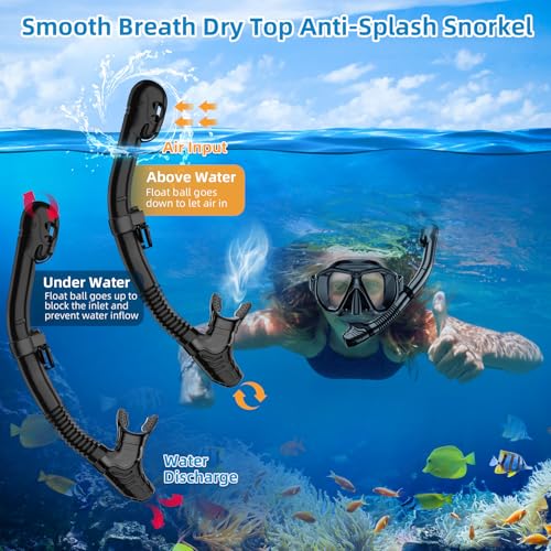 LMWSPT Snorkeling Gear Review Best Adult Diving Mask Set with Dry Top Snorkel