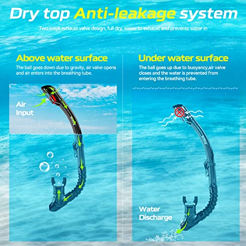 Nearsighted Snorkel Mask and Dry Top Snorkel WAVE Review for Clear Diving Nearsighted Snorkel Mask and Dry Top Snorkel WAVE Review for Clear Diving