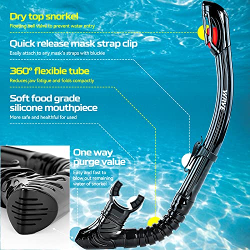 Nearsighted Snorkel Mask and Dry Top Snorkel WAVE Review for Clear Diving Nearsighted Snorkel Mask and Dry Top Snorkel WAVE Review for Clear Diving