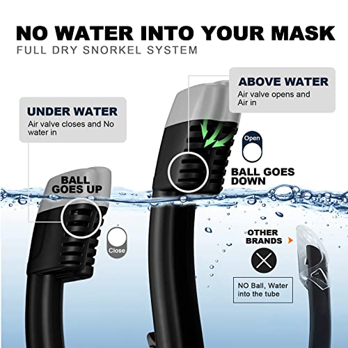 Odoland Snorkeling Packages Review Best Full Face Mask and Adjustable Fins Combo