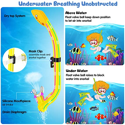 Seovediary Kids Snorkel Set Review Best Snorkeling Gear for Young Beginners Seovediary Kids Snorkel Set Review Best Snorkeling Gear for Young Beginners