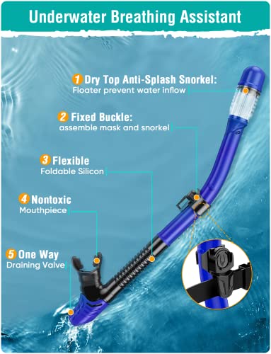 Seovediary SS2-LAN Snorkel Set Review Best Anti-Fog Snorkeling Gear for Adults
