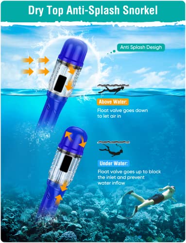 Seovediary SS2-LAN Snorkel Set Review Best Anti-Fog Snorkeling Gear for Adults