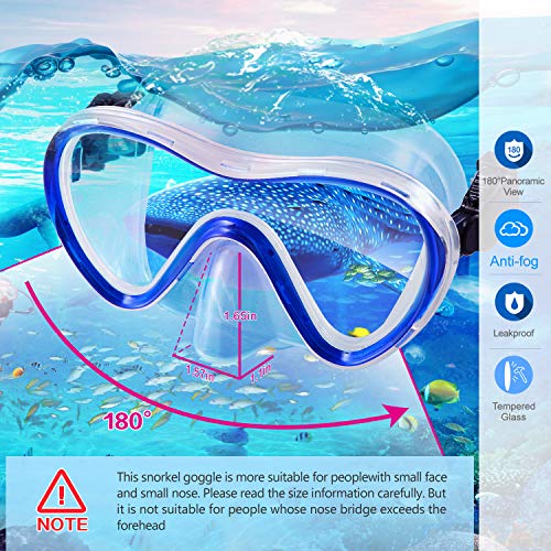 Supertrip Snorkeling Gear Review Best Anti-Fog Mask and Snorkel Set Blue