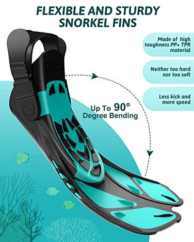 Viginsul Snorkel Set Review Best Full Face Snorkel Mask and Adjustable Swim Fins