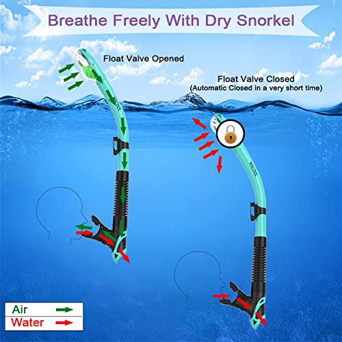 WACOOL Professional Snorkeling Set Review Best Adult Silicone Mask and Snorkel Combo WACOOL Professional Snorkeling Set Review Best Adult Silicone Mask and Snorkel Combo