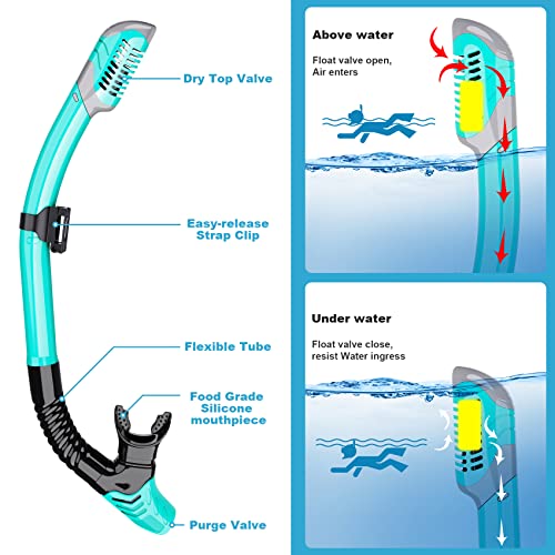 WONDSY EASY Snorkeling Set Review Best Adult Mask Fin Snorkel Gear Experience