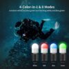 XTAR SD1 Diving Lights Review Unveils Stunning 4-Color Signal for Scuba Safety