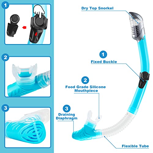 ZEEPORTE Snorkel Set S M Review Best Travel Snorkeling Gear With Dry Top Fins ZEEPORTE Snorkel Set S M Review Best Travel Snorkeling Gear With Dry Top Fins