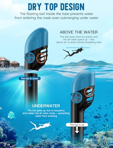 Zenoplige Full Face Snorkel Mask Review Unveils Stunning 180 Degree Panoramic View Zenoplige Full Face Snorkel Mask Review Unveils Stunning 180 Degree Panoramic View