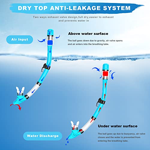 Zipoute Snorkel Set Review Best Adult Snorkeling Gear with Panoramic Anti-Fog Lens Zipoute Snorkel Set Review Best Adult Snorkeling Gear with Panoramic Anti-Fog Lens